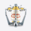 Articulator SAM3