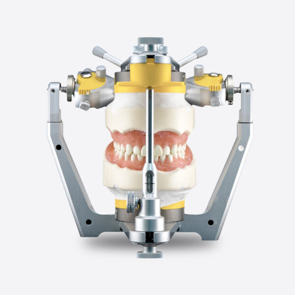 Articulator SAM3